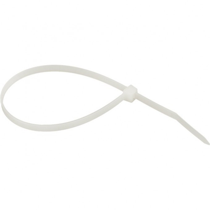Хомут нейлоновый EKF BASIC (4,8х250) 100шт. plc-c-4.8x250 Хомут нейлоновый EKF BASIC (4,8х250) 100шт. plc-c-4.8x250